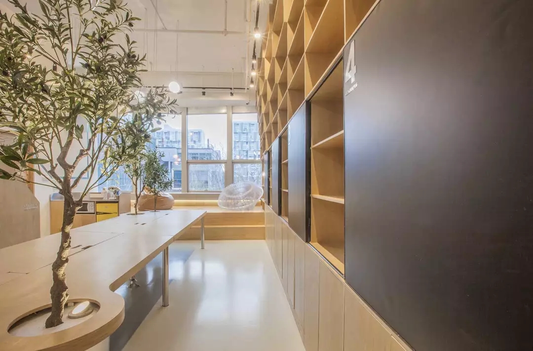 牛在墻上飛，猴子樹梢醉；這是在動(dòng)物園辦公嗎？